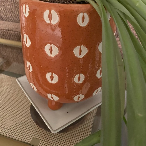 Opalhouse Accents Opalhouse Planter Poshmark